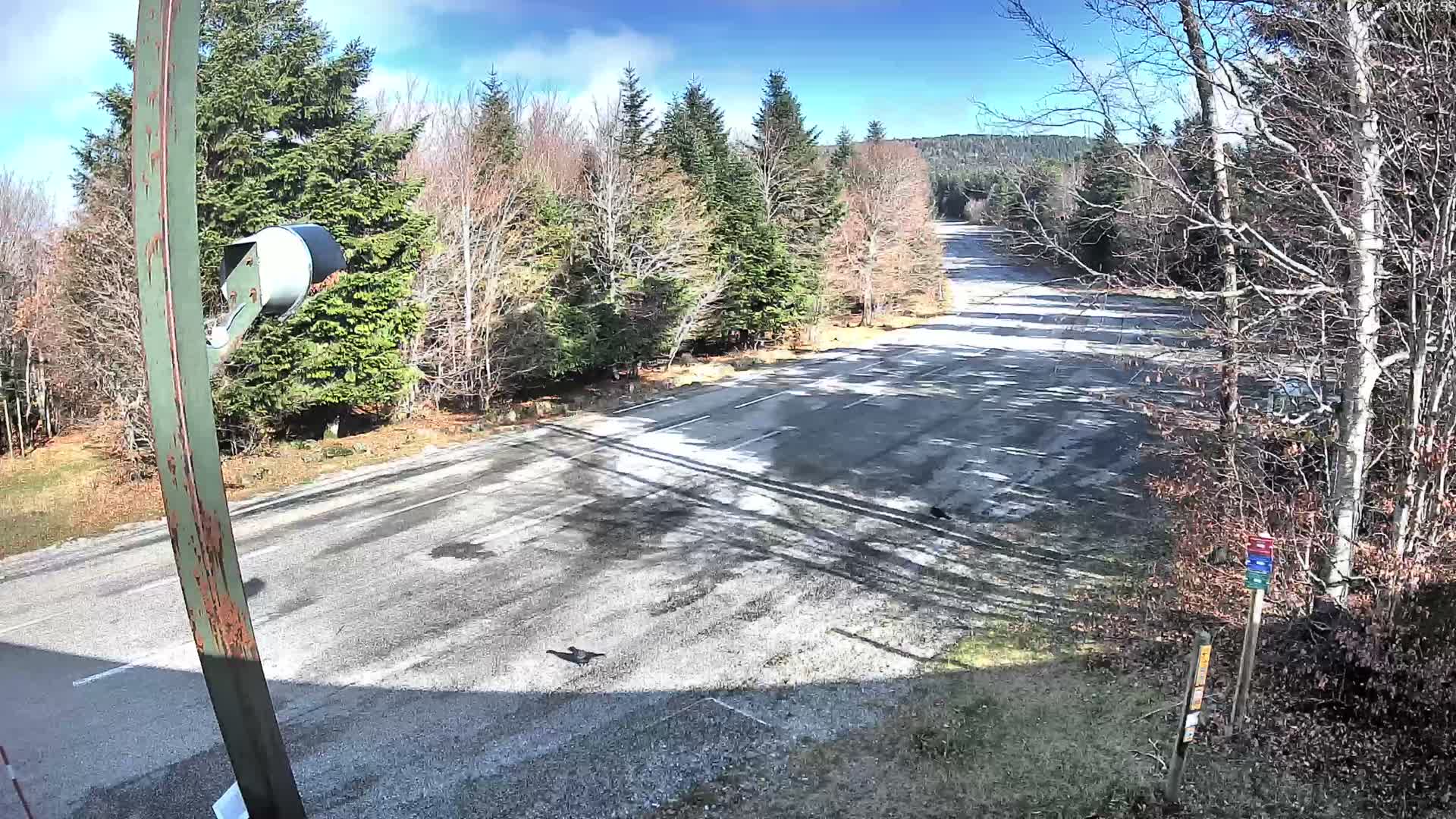 Val-d'Aigoual, Mount l'Aigoual - Station de Prat Peyrot 2 Live Cam - Le Vigan, Gard, Occitanie, France