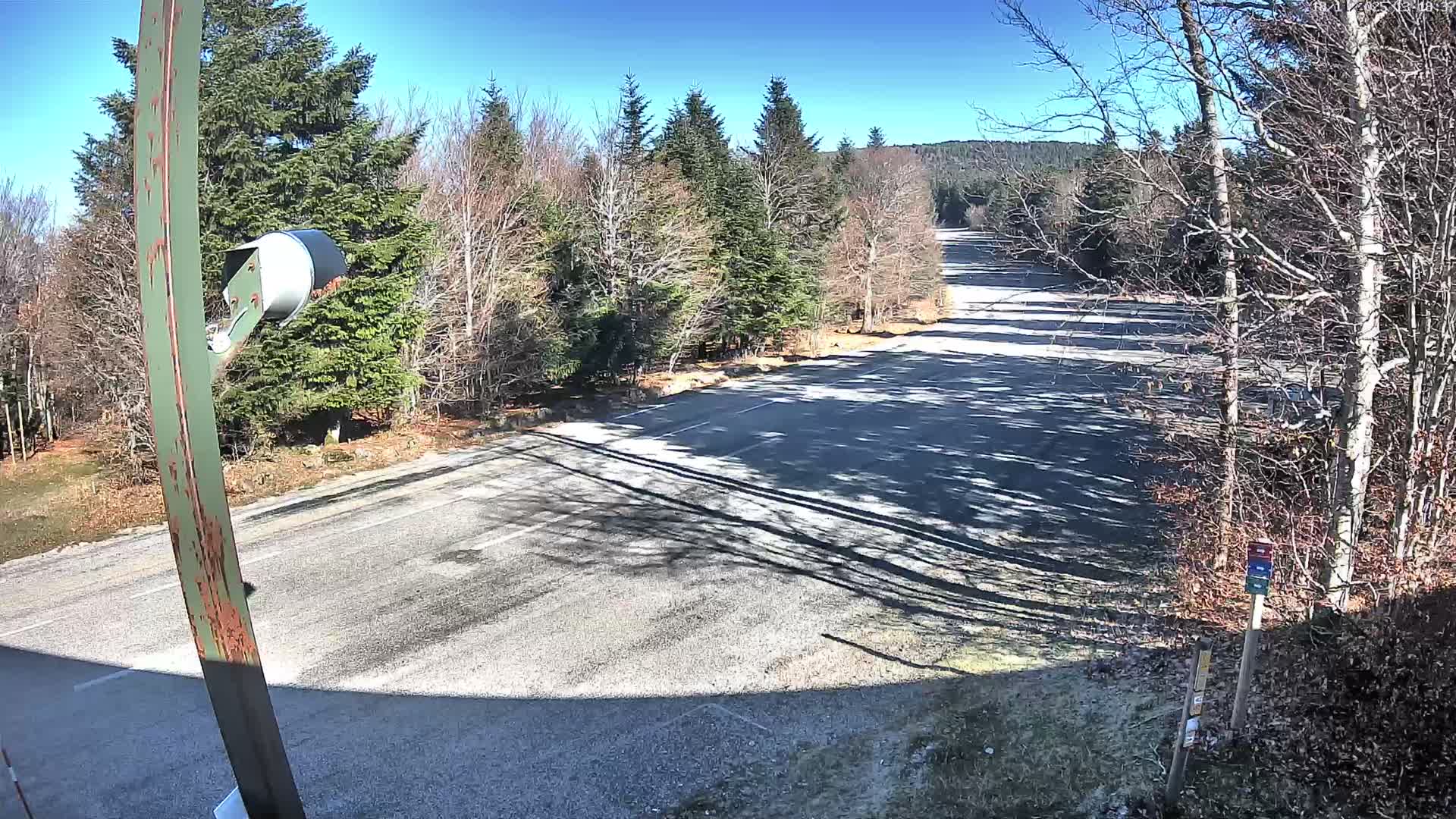 A nighttime view shows a dark road with faint white lane markings flanked by dark trees under a clear, starlit sky.