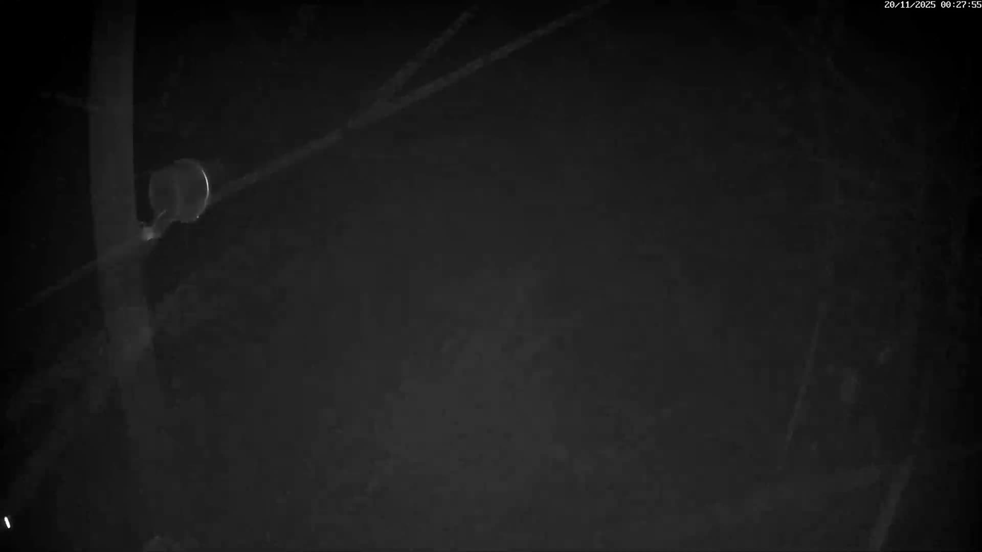 Val-d'Aigoual, Mount l'Aigoual - Station de Prat Peyrot 2 Live Cam - Le Vigan, Gard, Occitanie, France