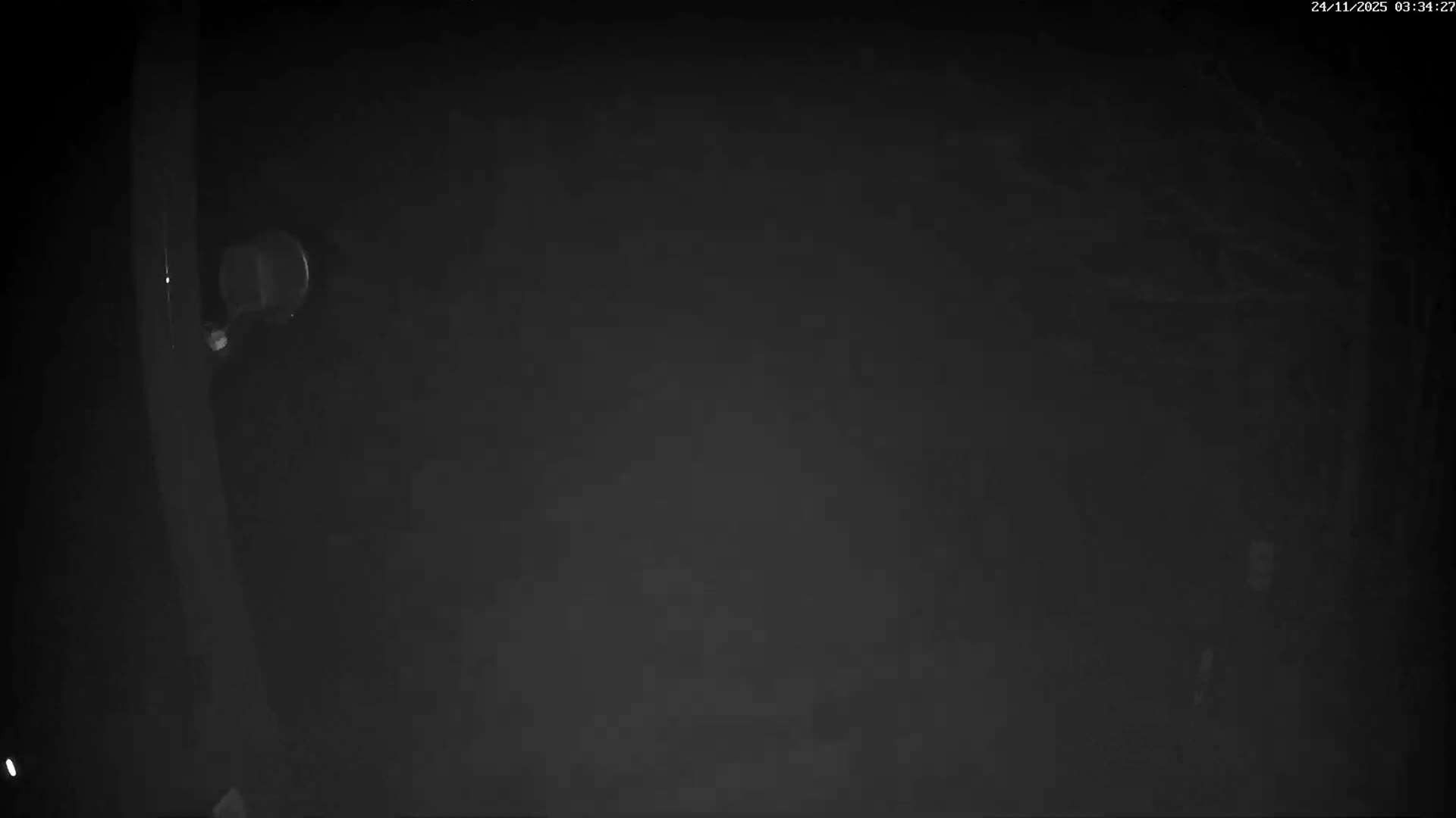 Val-d'Aigoual, Mount l'Aigoual - Station de Prat Peyrot 2 Live Cam - Le Vigan, Gard, Occitanie, France