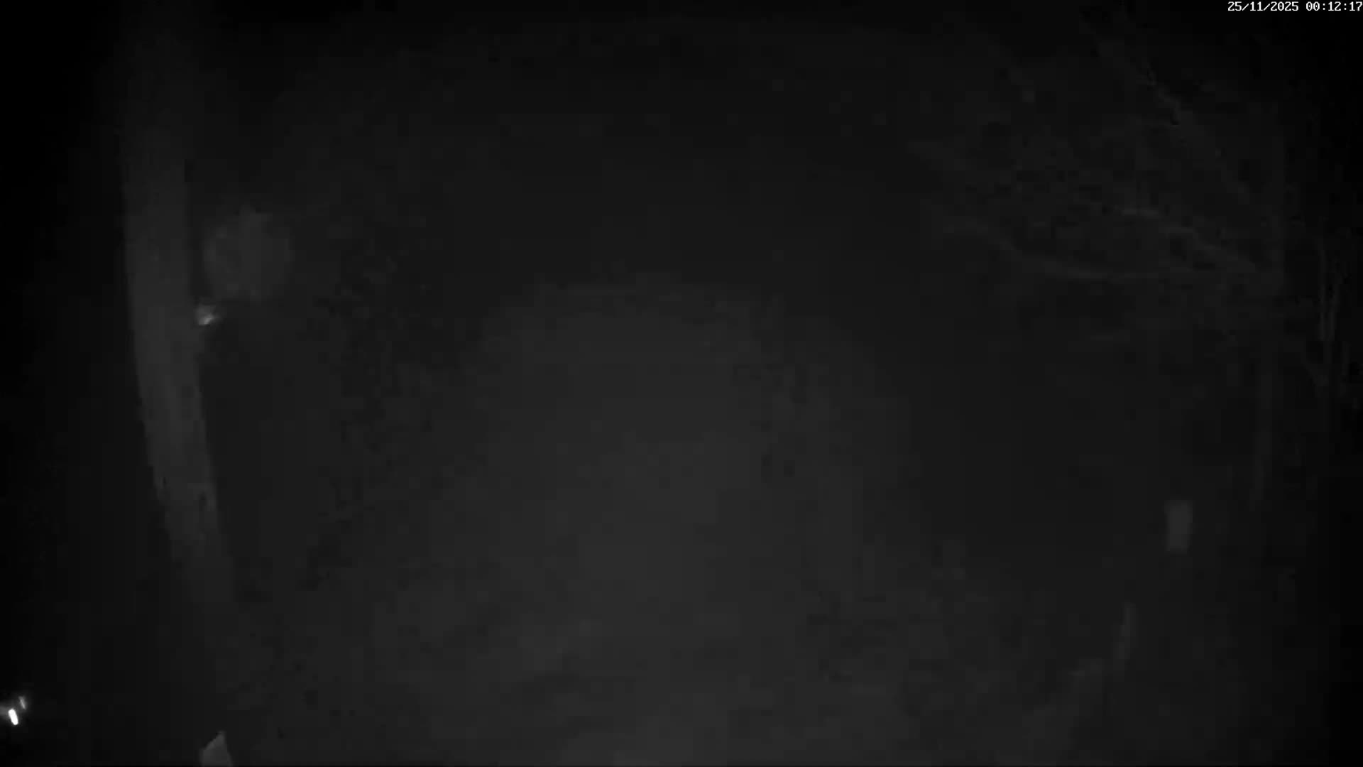 Val-d'Aigoual, Mount l'Aigoual - Station de Prat Peyrot 2 Live Cam - Le Vigan, Gard, Occitanie, France