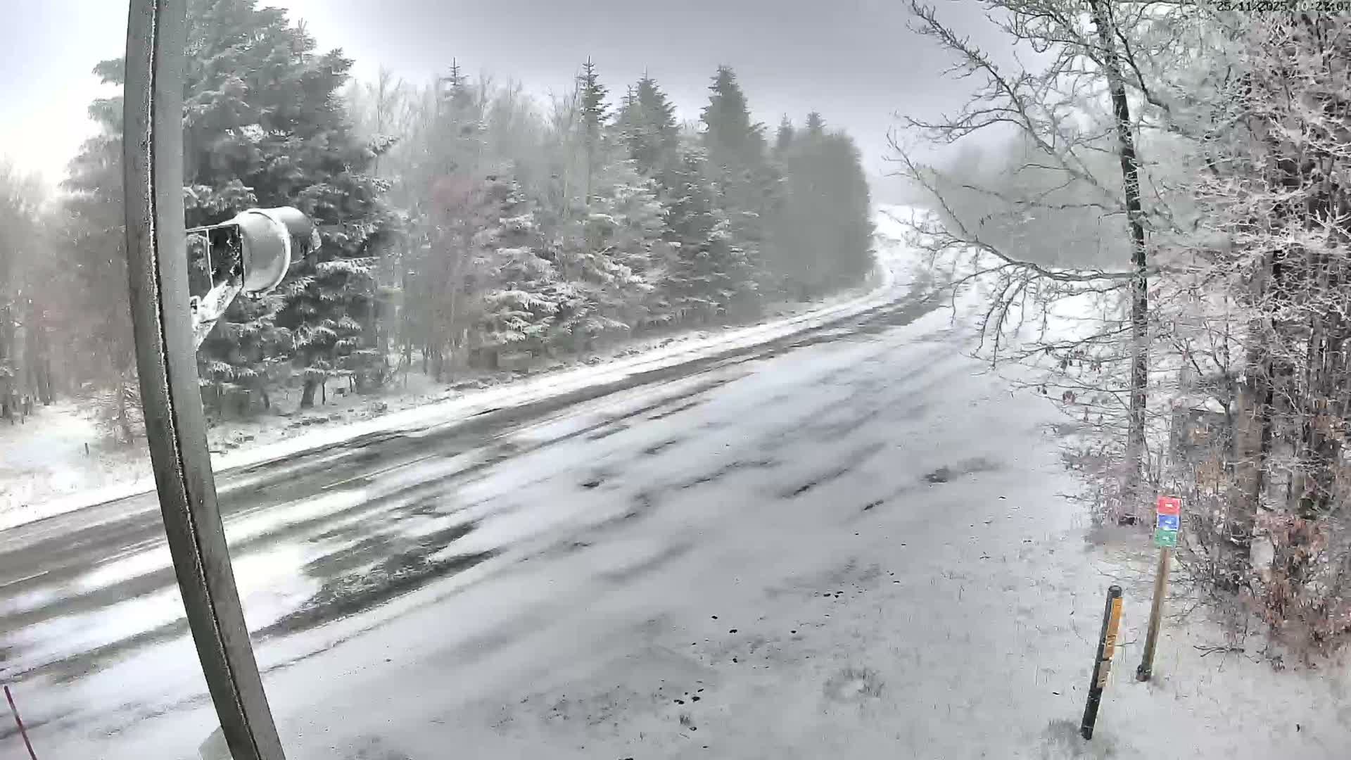 A snow-covered road winds through a winter forest with snow-laden evergreen and deciduous trees under a cloudy, overcast sky, as a camera pole stands in the foreground.