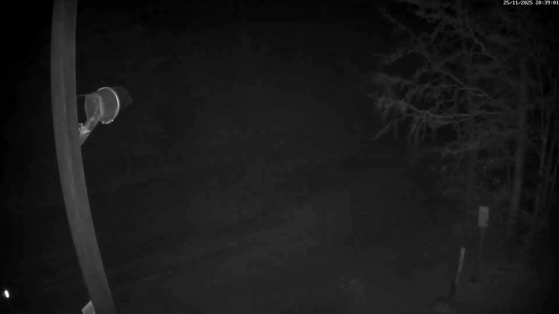 Val-d'Aigoual, Mount l'Aigoual - Station de Prat Peyrot 2 Live Cam - Le Vigan, Gard, Occitanie, France