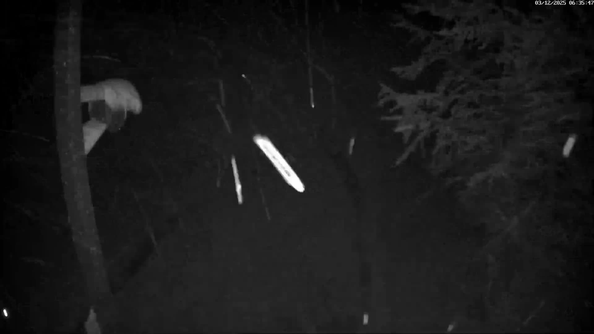 Val-d'Aigoual, Mount l'Aigoual - Station de Prat Peyrot 2 Live Cam - Le Vigan, Gard, Occitanie, France