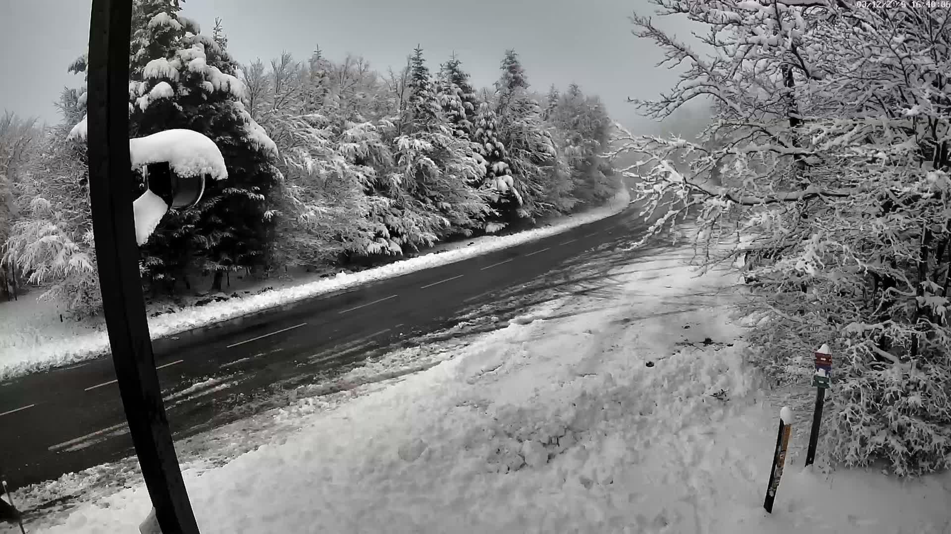 Val-d'Aigoual, Mount l'Aigoual - Station de Prat Peyrot 2 Live Cam - Le Vigan, Gard, Occitanie, France