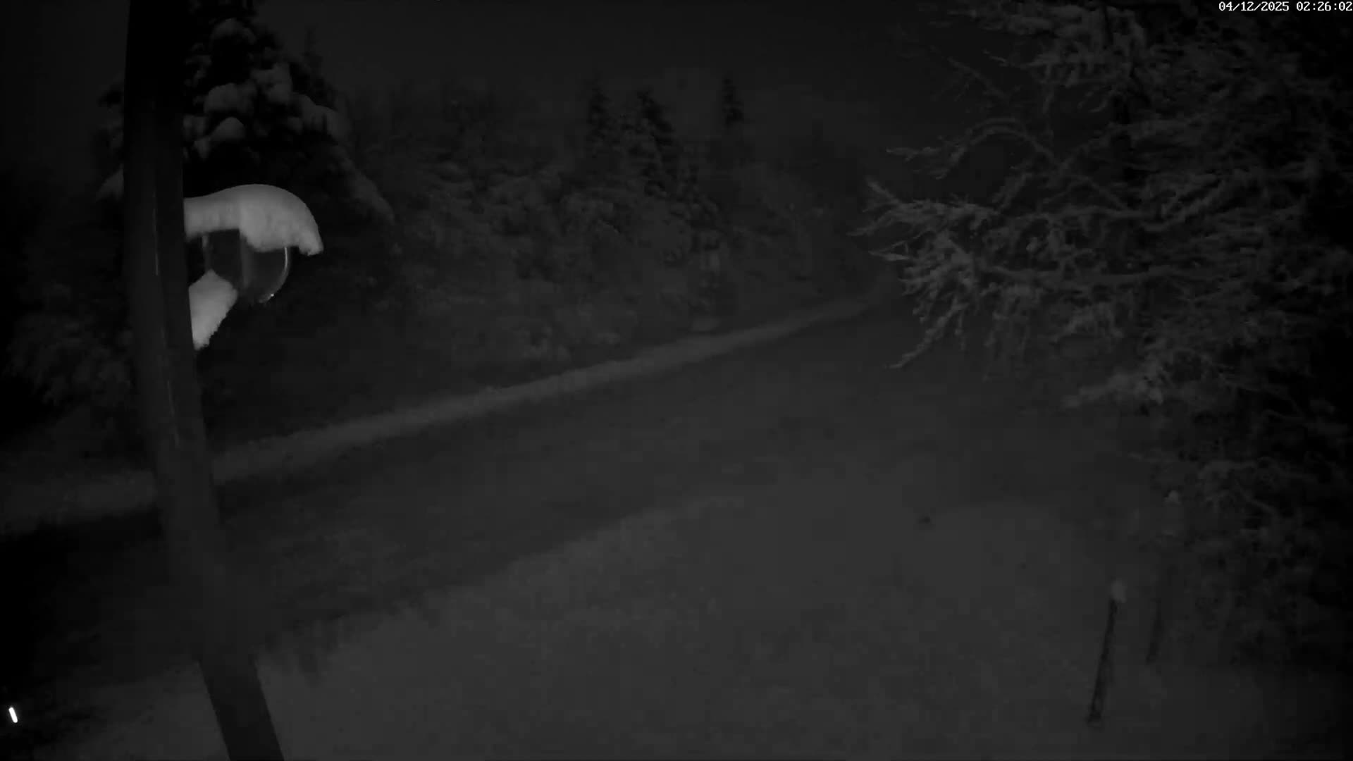 Val-d'Aigoual, Mount l'Aigoual - Station de Prat Peyrot 2 Live Cam - Le Vigan, Gard, Occitanie, France