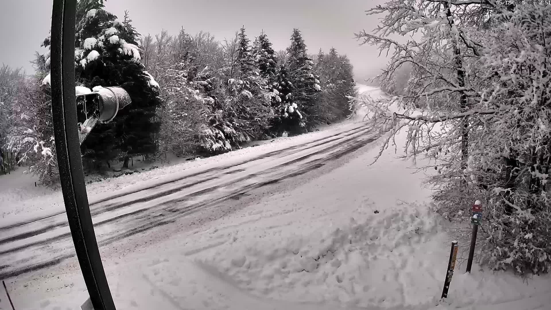 Val-d'Aigoual, Mount l'Aigoual - Station de Prat Peyrot 2 Live Cam - Le Vigan, Gard, Occitanie, France