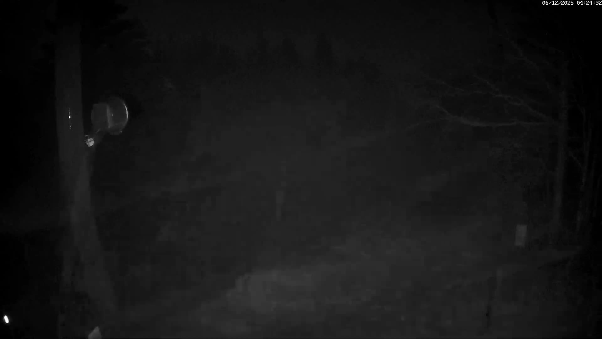 Val-d'Aigoual, Mount l'Aigoual - Station de Prat Peyrot 2 Live Cam - Le Vigan, Gard, Occitanie, France