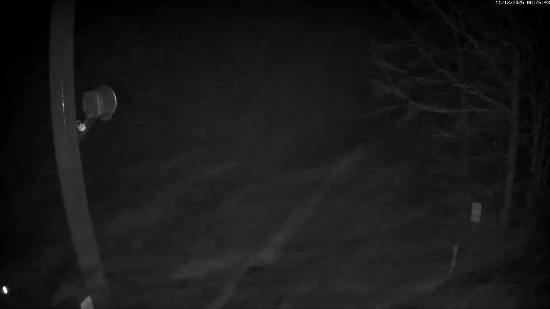 Val-d'Aigoual, Mount l'Aigoual - Station de Prat Peyrot 2 Live Cam - Le Vigan, Gard, Occitanie, France