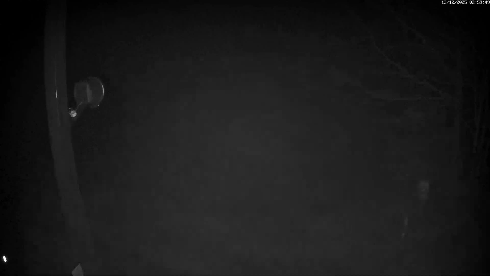 Val-d'Aigoual, Mount l'Aigoual - Station de Prat Peyrot 2 Live Cam - Le Vigan, Gard, Occitanie, France