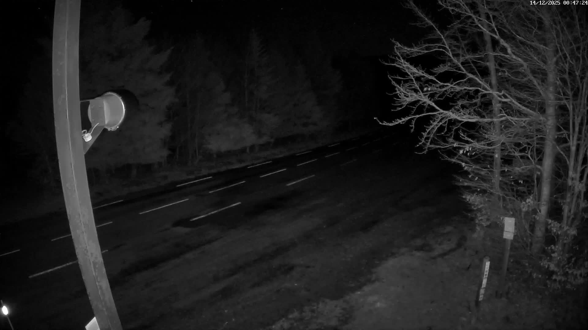 Val-d'Aigoual, Mount l'Aigoual - Station de Prat Peyrot 2 Live Cam - Le Vigan, Gard, Occitanie, France