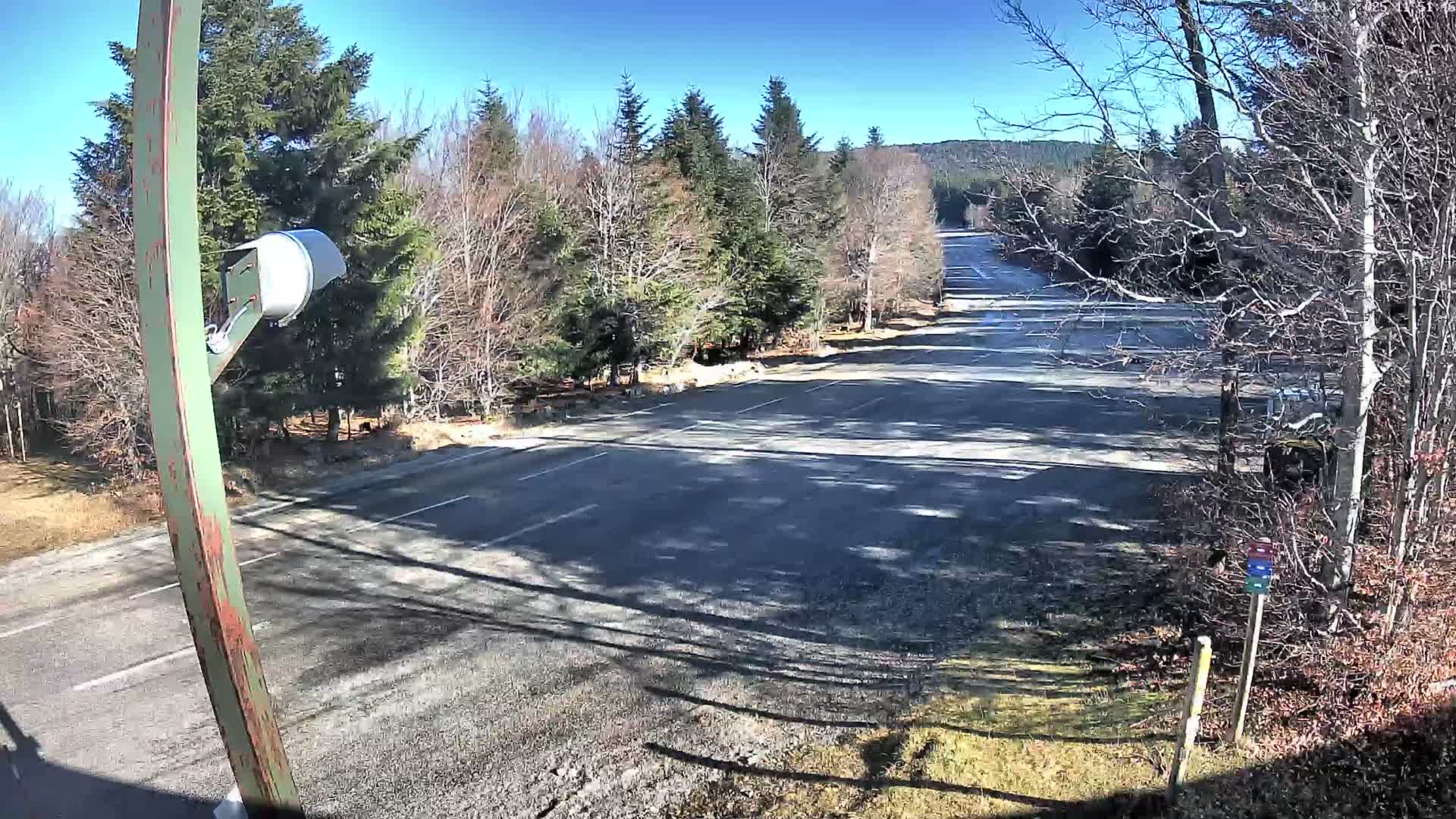A snow-covered road winds through a winter forest with snow-laden evergreen and deciduous trees under a cloudy, overcast sky, as a camera pole stands in the foreground.