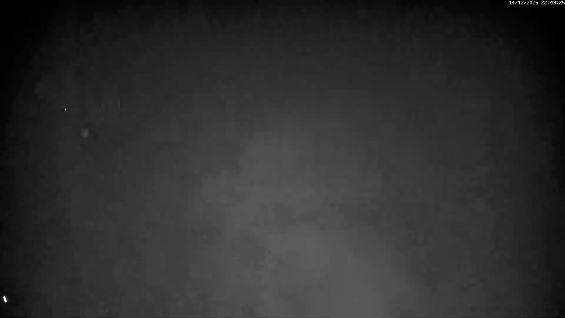 A snow-covered road winds through a winter forest with snow-laden evergreen and deciduous trees under a cloudy, overcast sky, as a camera pole stands in the foreground.