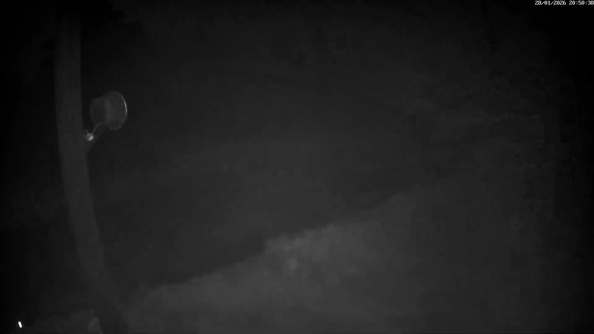 Val-d'Aigoual, Mount l'Aigoual - Station de Prat Peyrot 2 Live Cam - Le Vigan, Gard, Occitanie, France