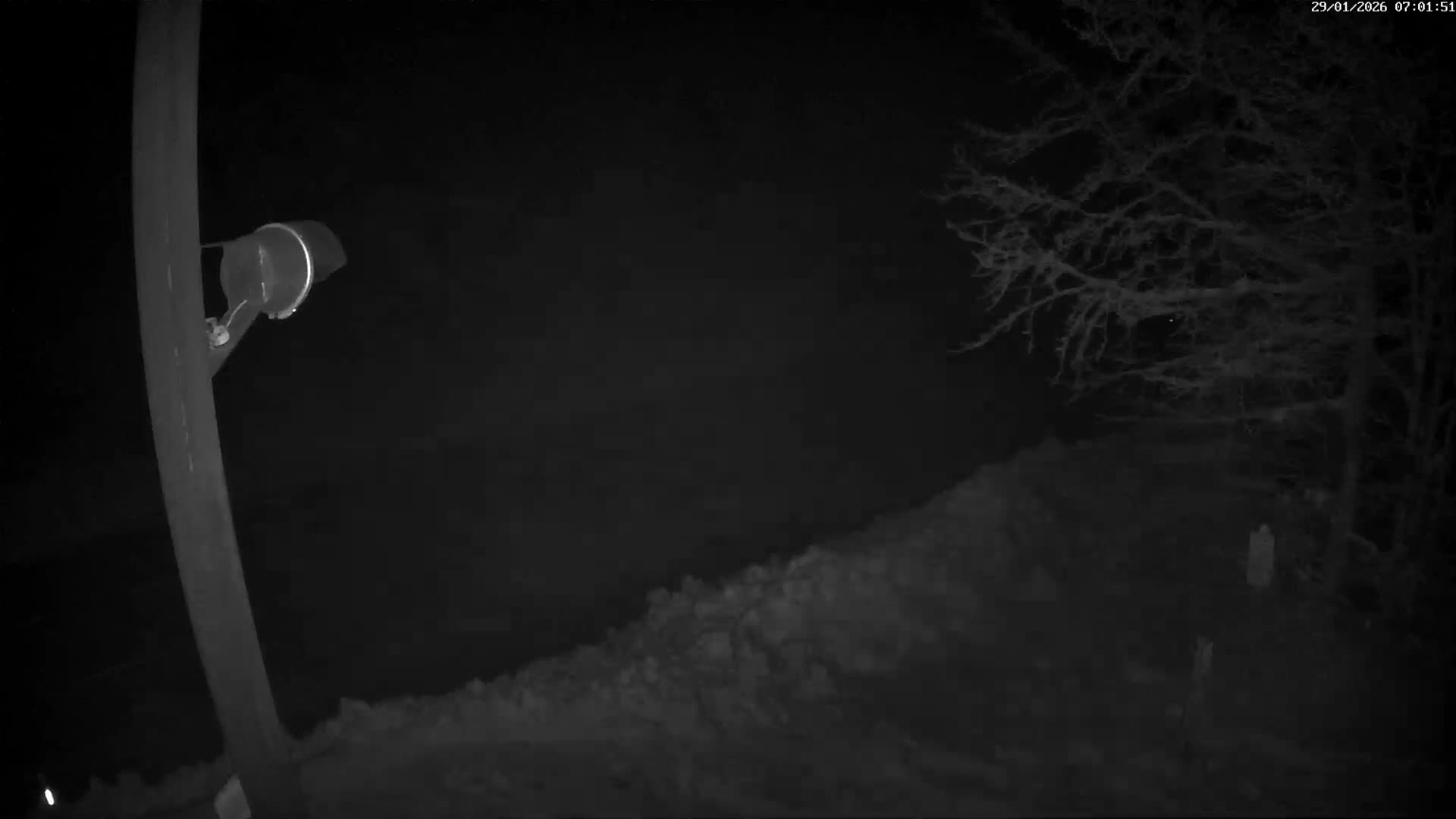 Val-d'Aigoual, Mount l'Aigoual - Station de Prat Peyrot 2 Live Cam - Le Vigan, Gard, Occitanie, France