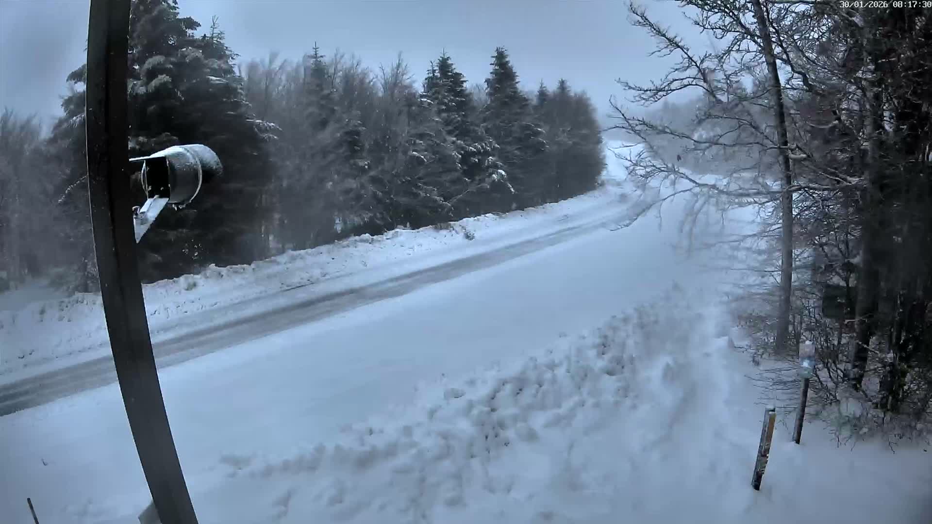 Val-d'Aigoual, Mount l'Aigoual - Station de Prat Peyrot 2 Live Cam - Le Vigan, Gard, Occitanie, France