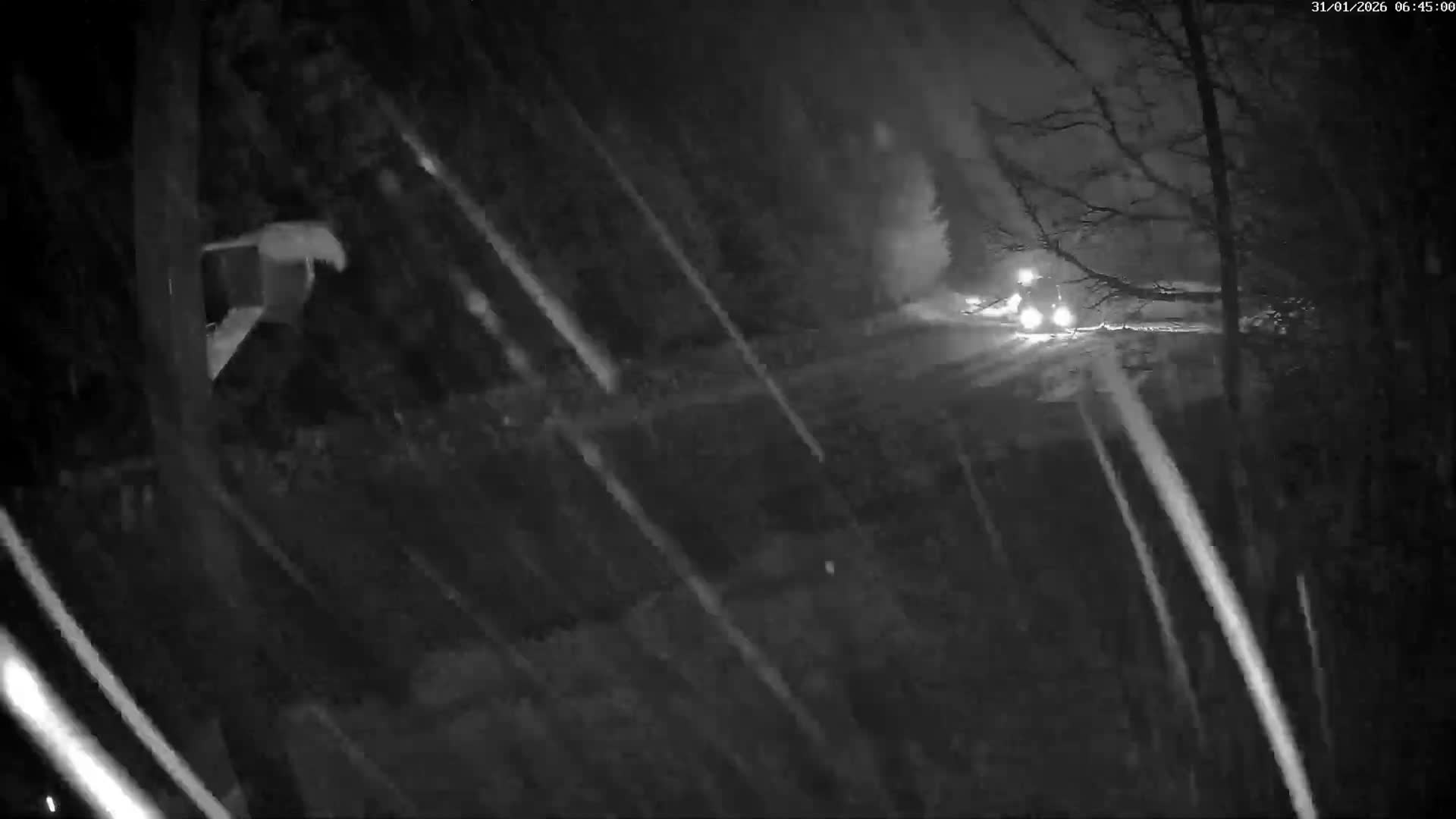 Val-d'Aigoual, Mount l'Aigoual - Station de Prat Peyrot 2 Live Cam - Le Vigan, Gard, Occitanie, France
