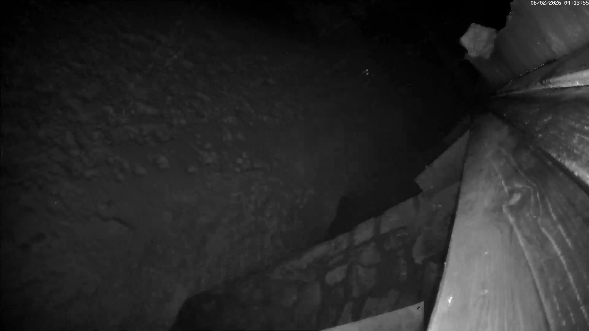 Val-d'Aigoual, Mount l'Aigoual - Station de Prat Peyrot 2 Live Cam - Le Vigan, Gard, Occitanie, France