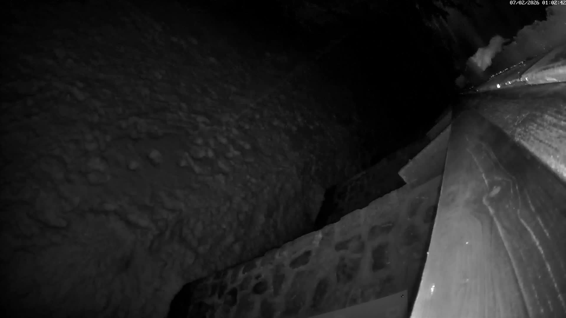 Val-d'Aigoual, Mount l'Aigoual - Station de Prat Peyrot 2 Live Cam - Le Vigan, Gard, Occitanie, France