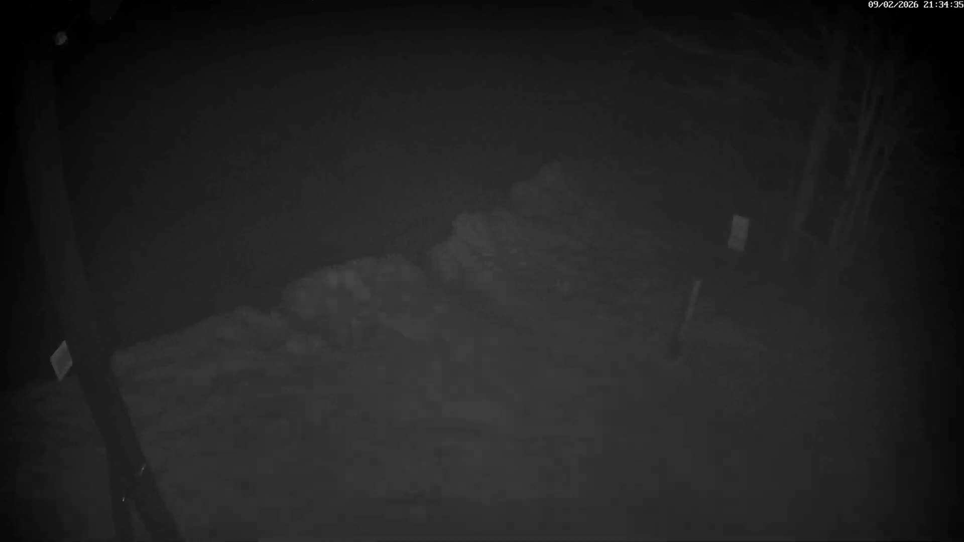 Val-d'Aigoual, Mount l'Aigoual - Station de Prat Peyrot 2 Live Cam - Le Vigan, Gard, Occitanie, France