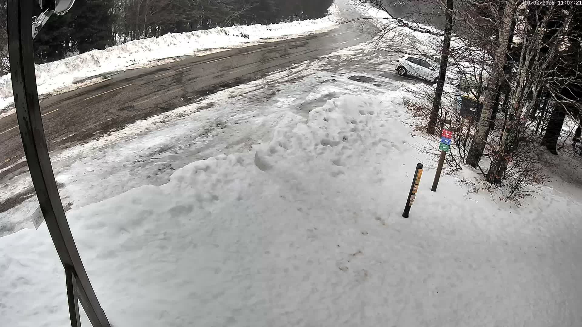 Val-d'Aigoual, Mount l'Aigoual - Station de Prat Peyrot 2 Live Cam - Le Vigan, Gard, Occitanie, France