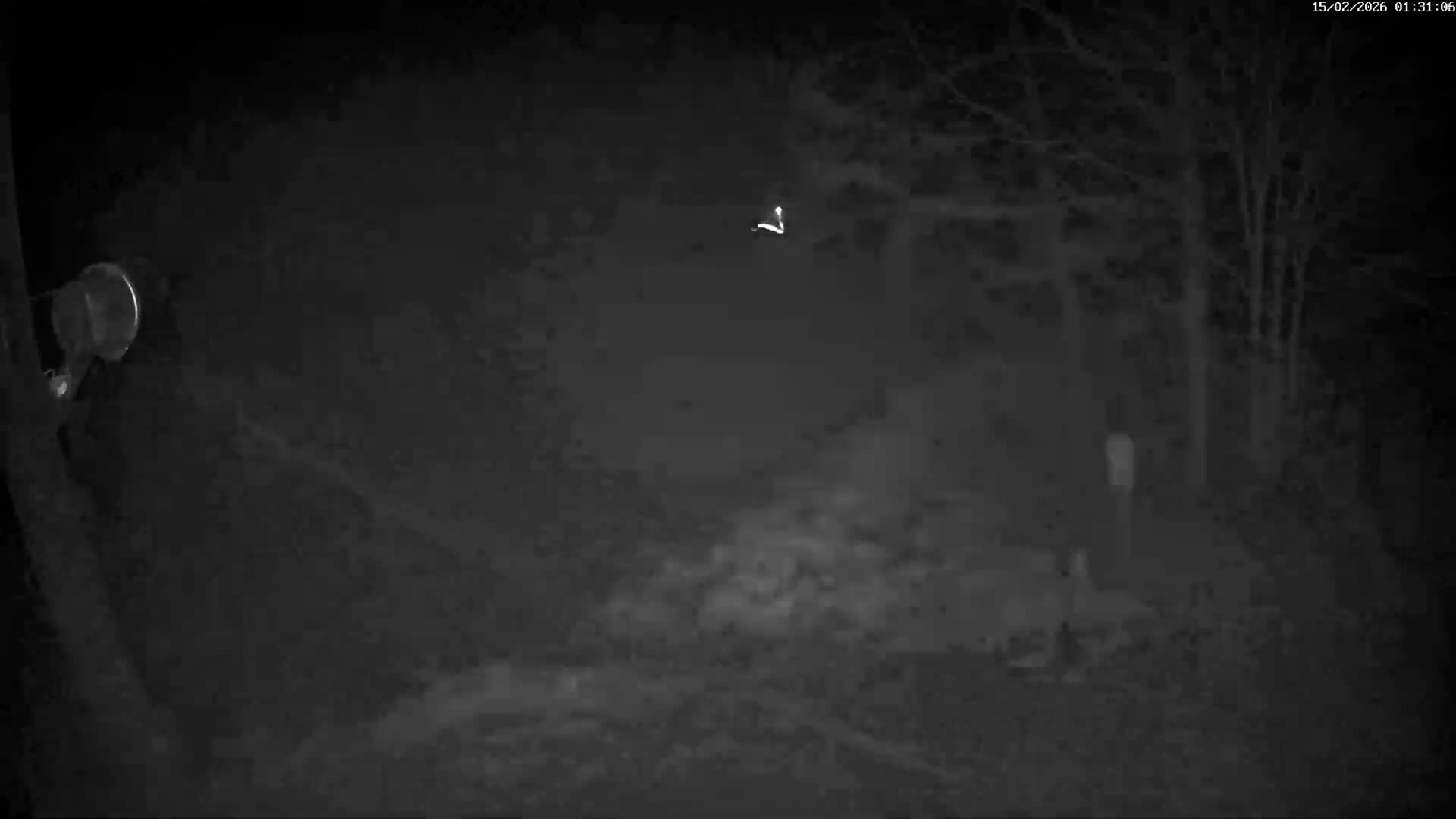 Val-d'Aigoual, Mount l'Aigoual - Station de Prat Peyrot 2 Live Cam - Le Vigan, Gard, Occitanie, France