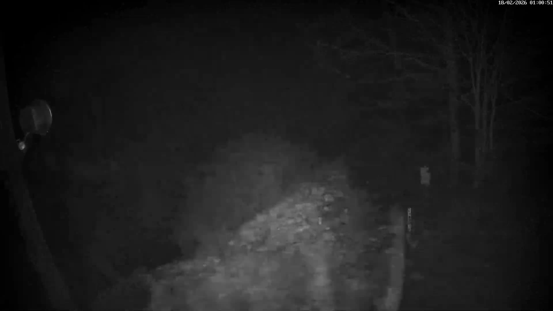 Val-d'Aigoual, Mount l'Aigoual - Station de Prat Peyrot 2 Live Cam - Le Vigan, Gard, Occitanie, France