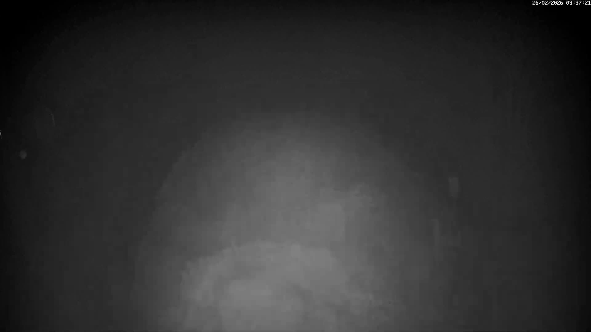 Val-d'Aigoual, Mount l'Aigoual - Station de Prat Peyrot 2 Live Cam - Le Vigan, Gard, Occitanie, France