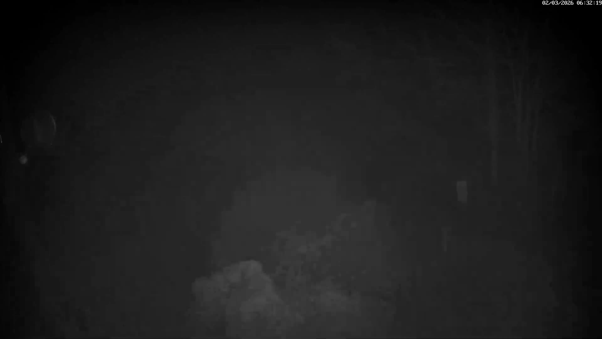 Val-d'Aigoual, Mount l'Aigoual - Station de Prat Peyrot 2 Live Cam - Le Vigan, Gard, Occitanie, France