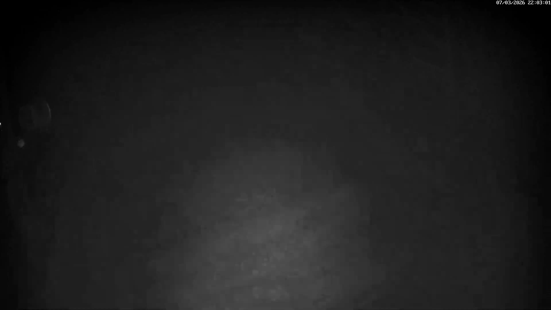 Val-d'Aigoual, Mount l'Aigoual - Station de Prat Peyrot 2 Live Cam - Le Vigan, Gard, Occitanie, France