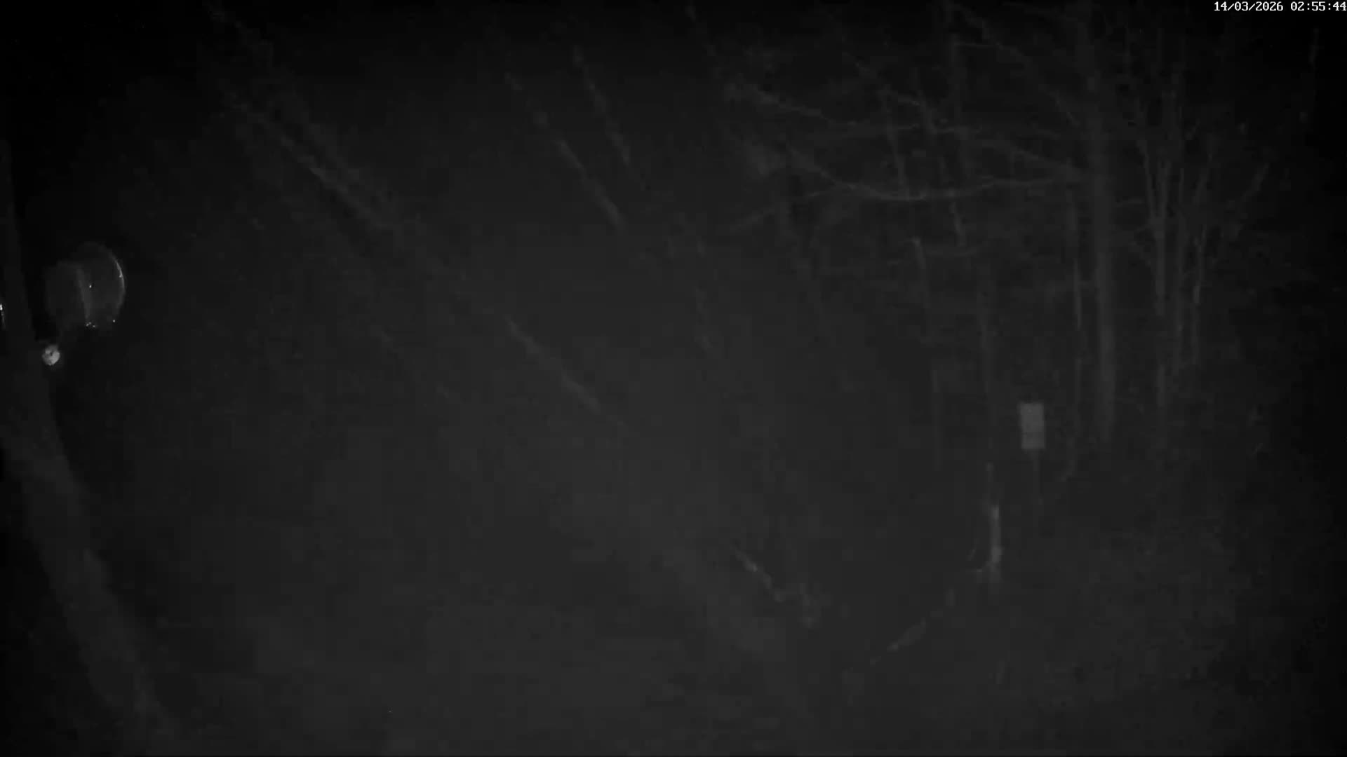Val-d'Aigoual, Mount l'Aigoual - Station de Prat Peyrot 2 Live Cam - Le Vigan, Gard, Occitanie, France