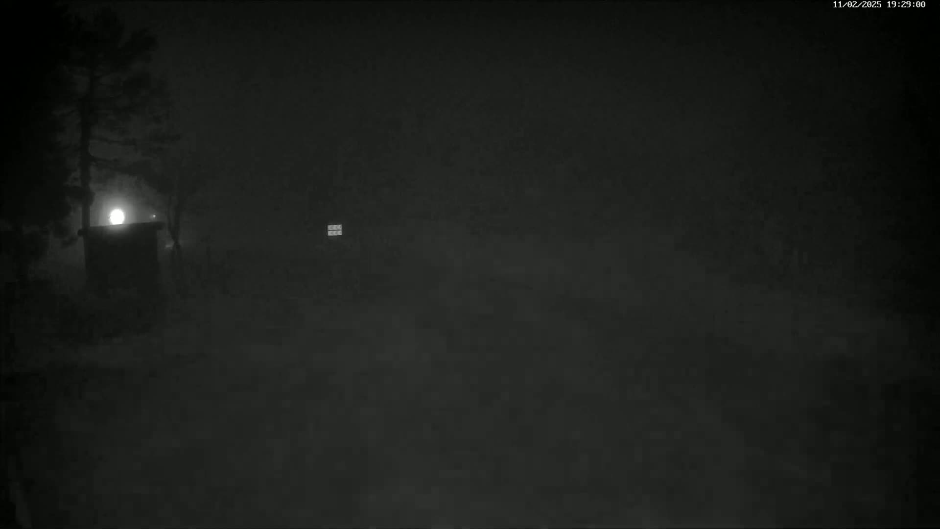 A dimly lit, foggy nighttime scene shows a small structure illuminated by a light source, partially obscured by trees and fog.