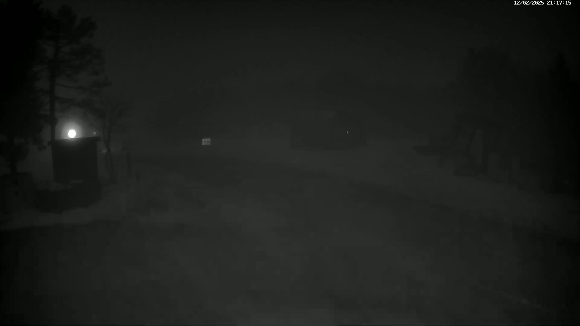A dimly lit, snowy night scene shows a few trees and structures barely visible in the fog.