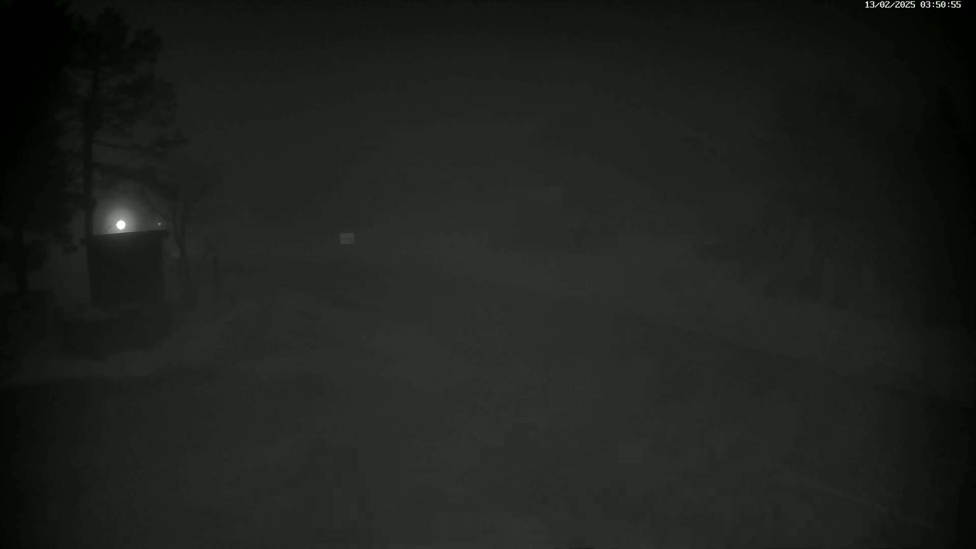 A dimly lit, foggy scene at night shows a small structure and a tree partially obscured by heavy fog.