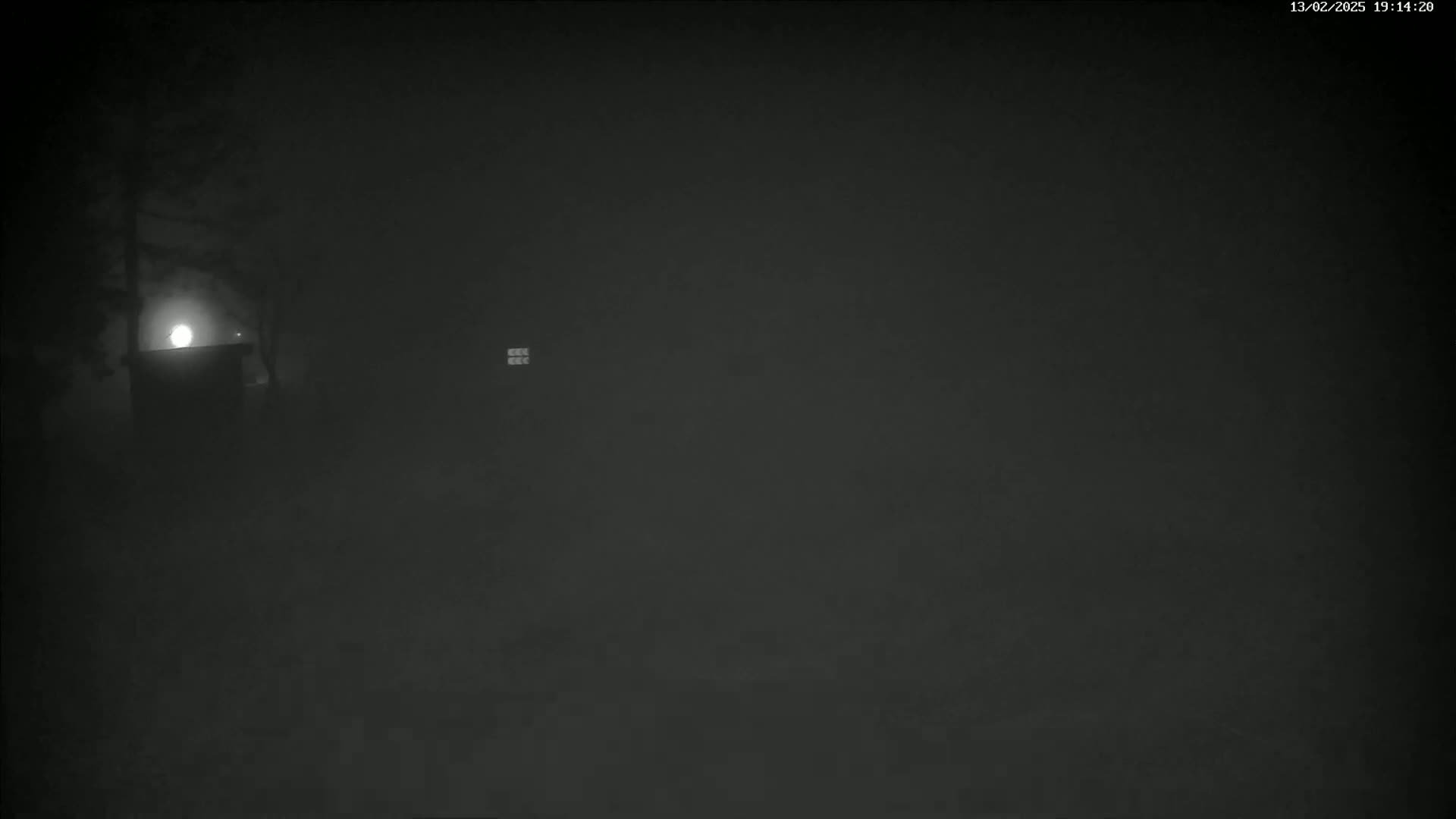 A dimly lit, foggy scene at night shows a dark structure illuminated by a light source, with trees and a building visible in the distance.