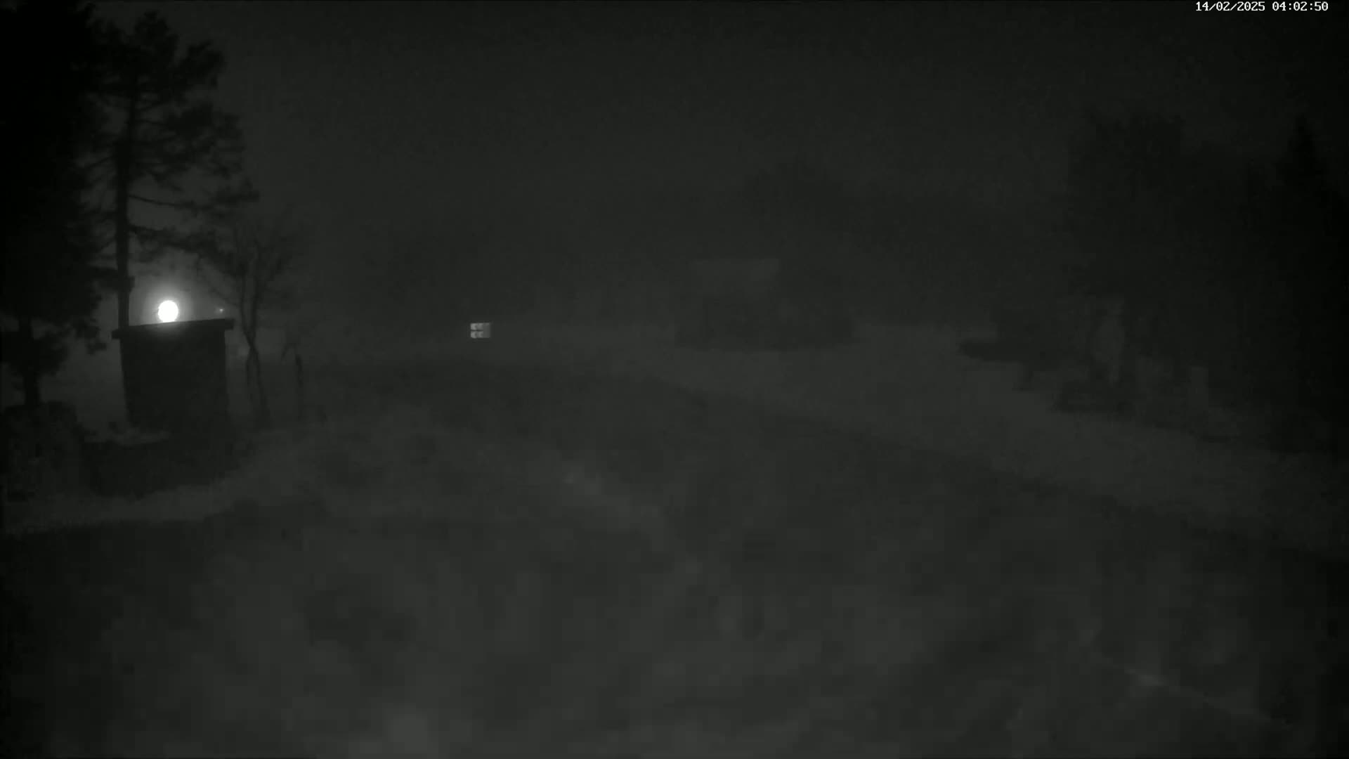 A dimly lit, snowy scene at night is obscured by fog, showing a few dark trees and buildings.