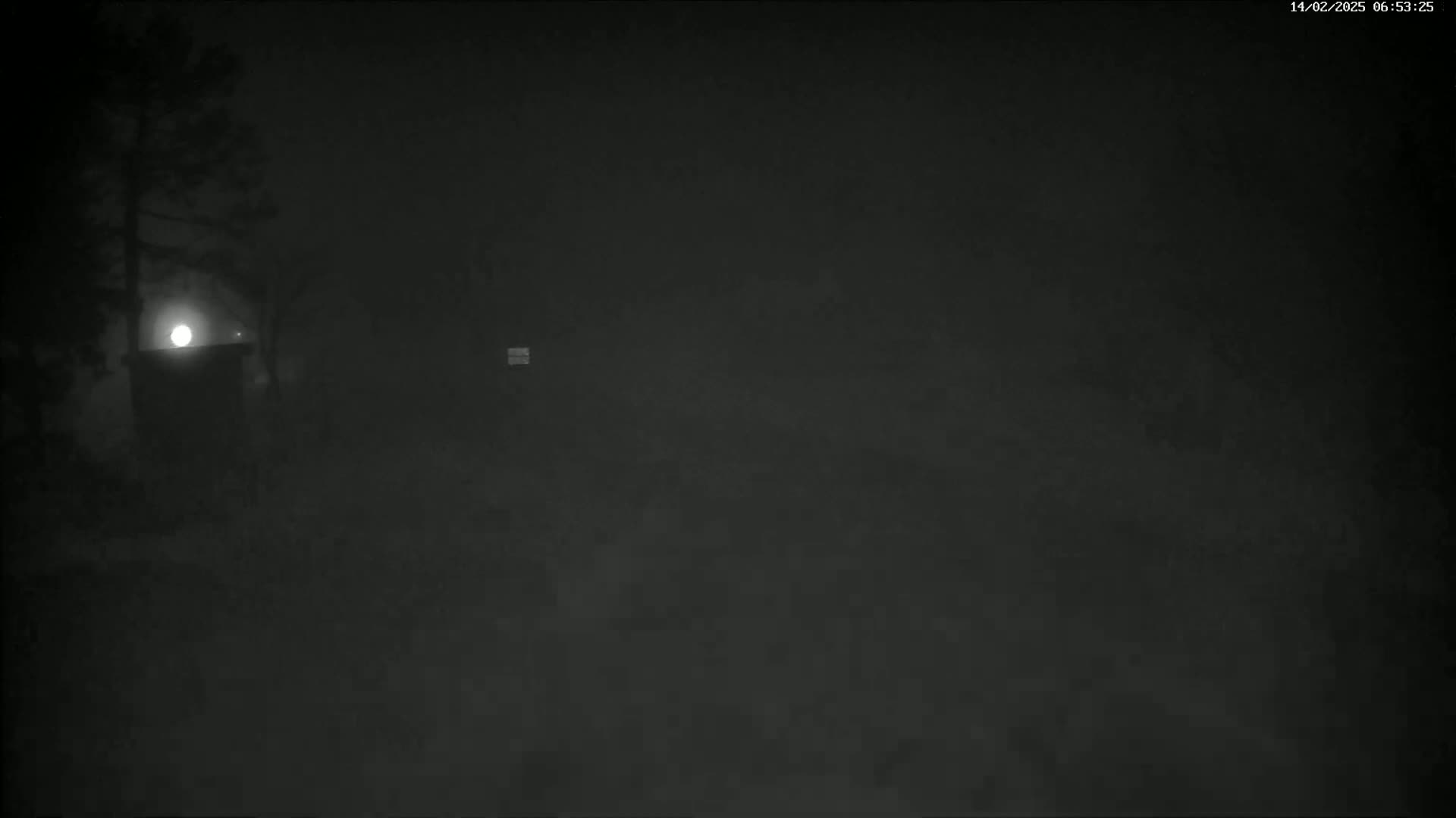 A dimly lit, foggy night scene shows a structure illuminated by a light source, partially obscured by trees.
