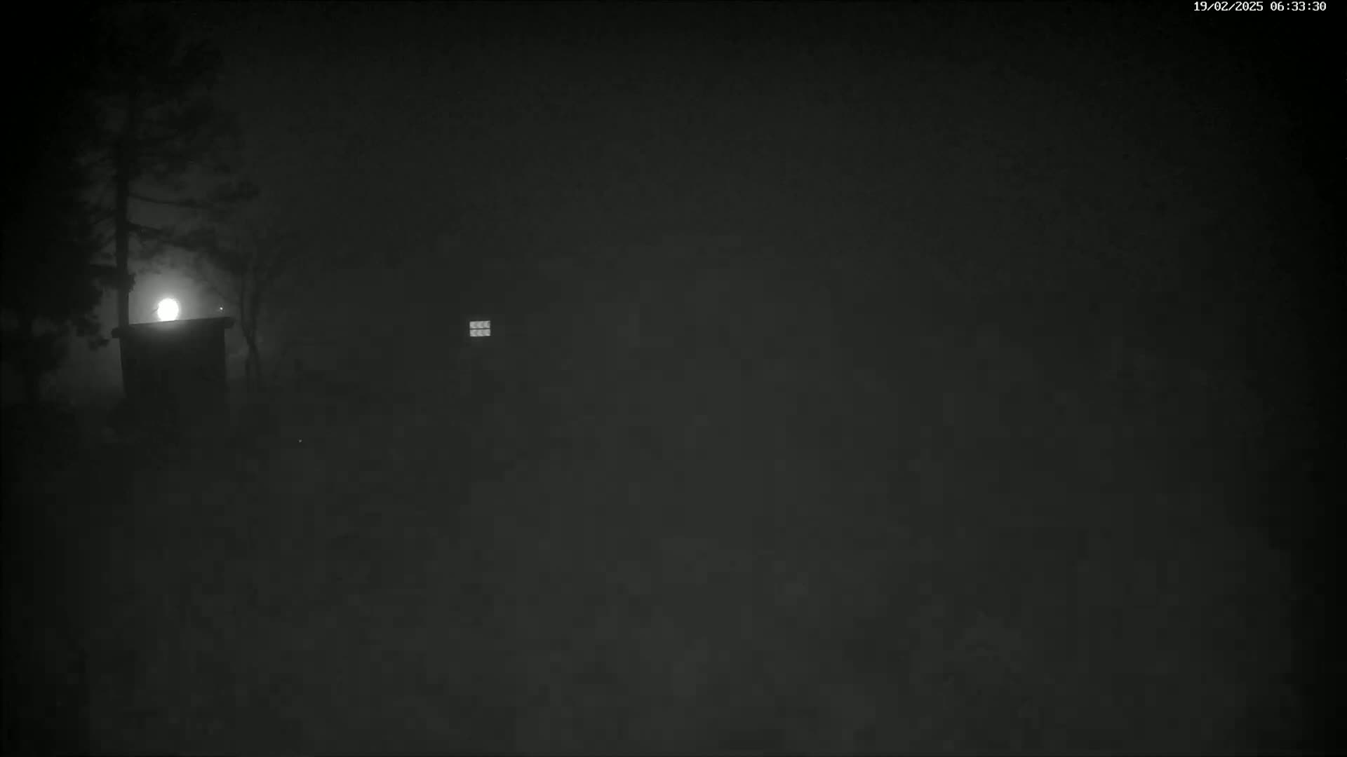 A bright moon illuminates a foggy nighttime scene featuring silhouetted trees and a small building with a lit window.