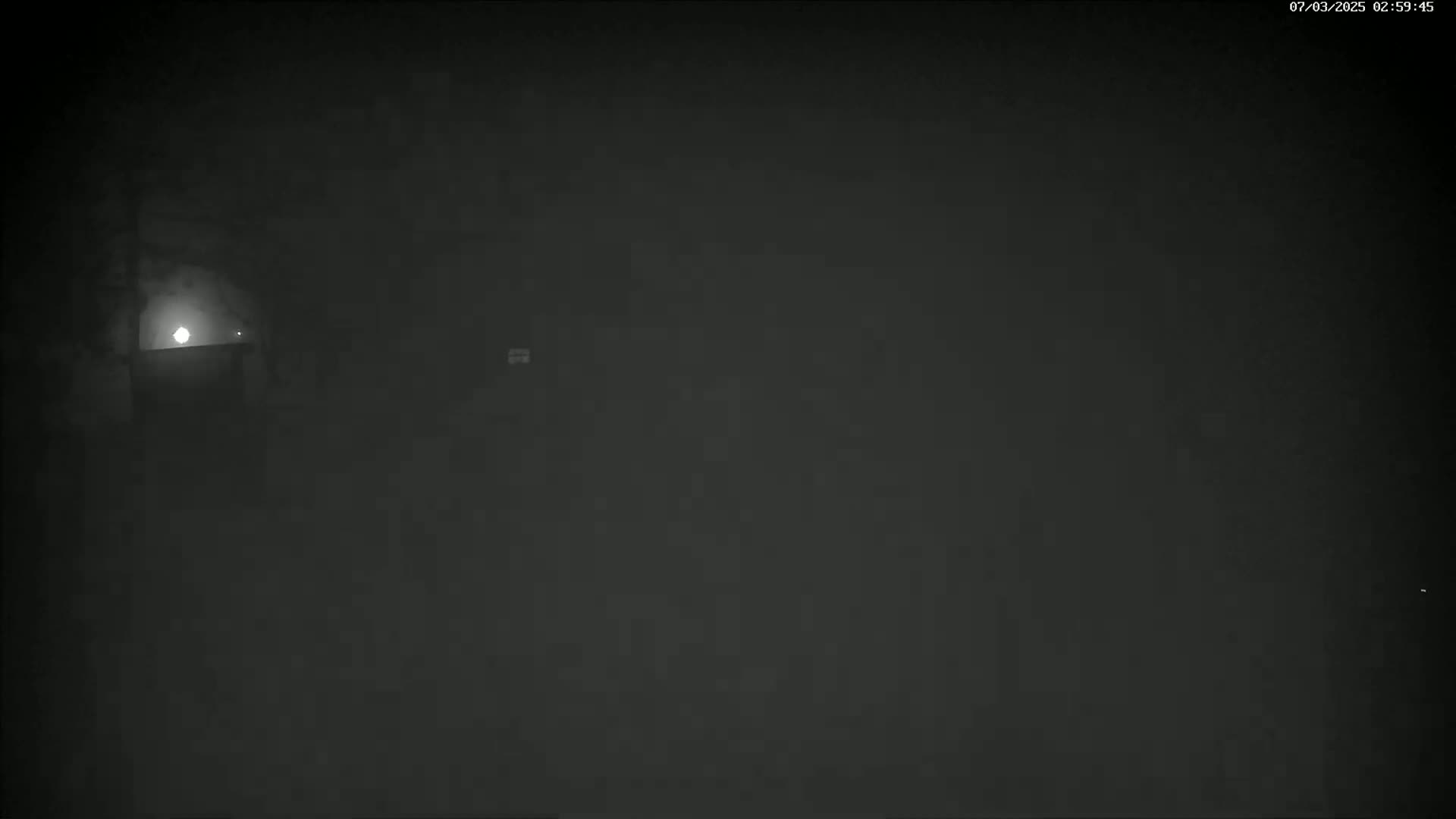 A dimly lit, foggy outdoor scene at night shows a single light source in the distance.