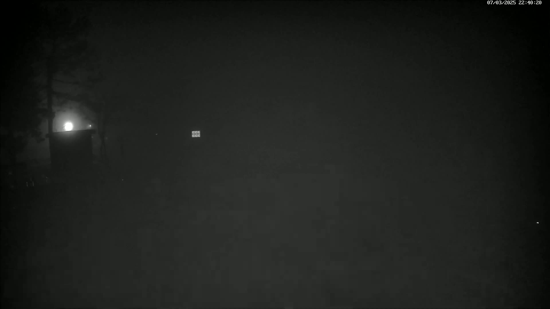 A dimly lit nighttime scene shows a building and trees under foggy or hazy conditions.