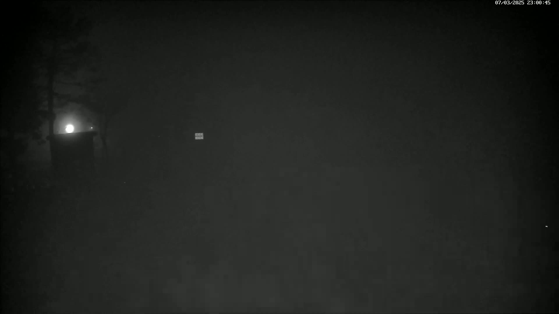 A dimly lit nighttime scene shows a small structure illuminated by a bright light source behind it, partially obscured by trees in foggy conditions.