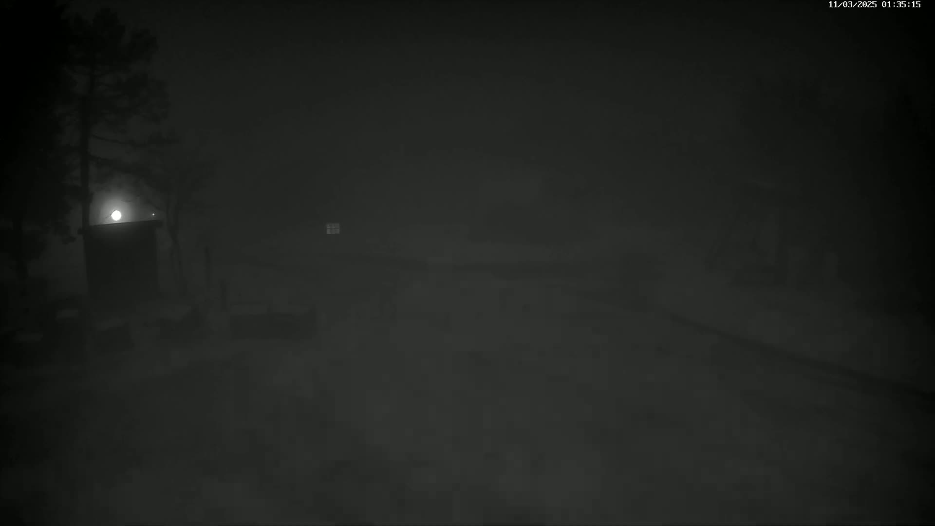 A dimly lit, foggy nighttime scene shows a small structure illuminated by a single light source near a tree.
