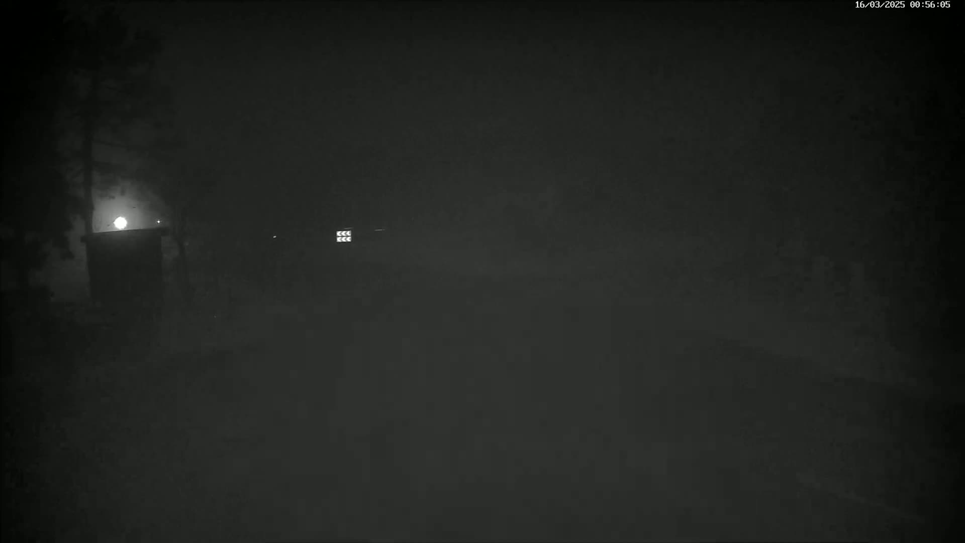 A dimly lit, foggy night scene shows a small structure illuminated by a light source, with trees and a faint background.