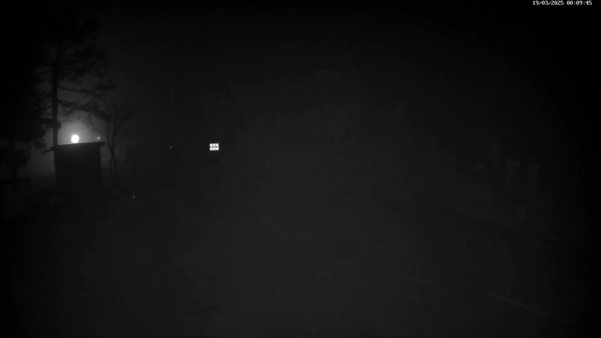 A dimly lit, foggy nighttime scene shows a silhouetted structure and trees under a bright moon.