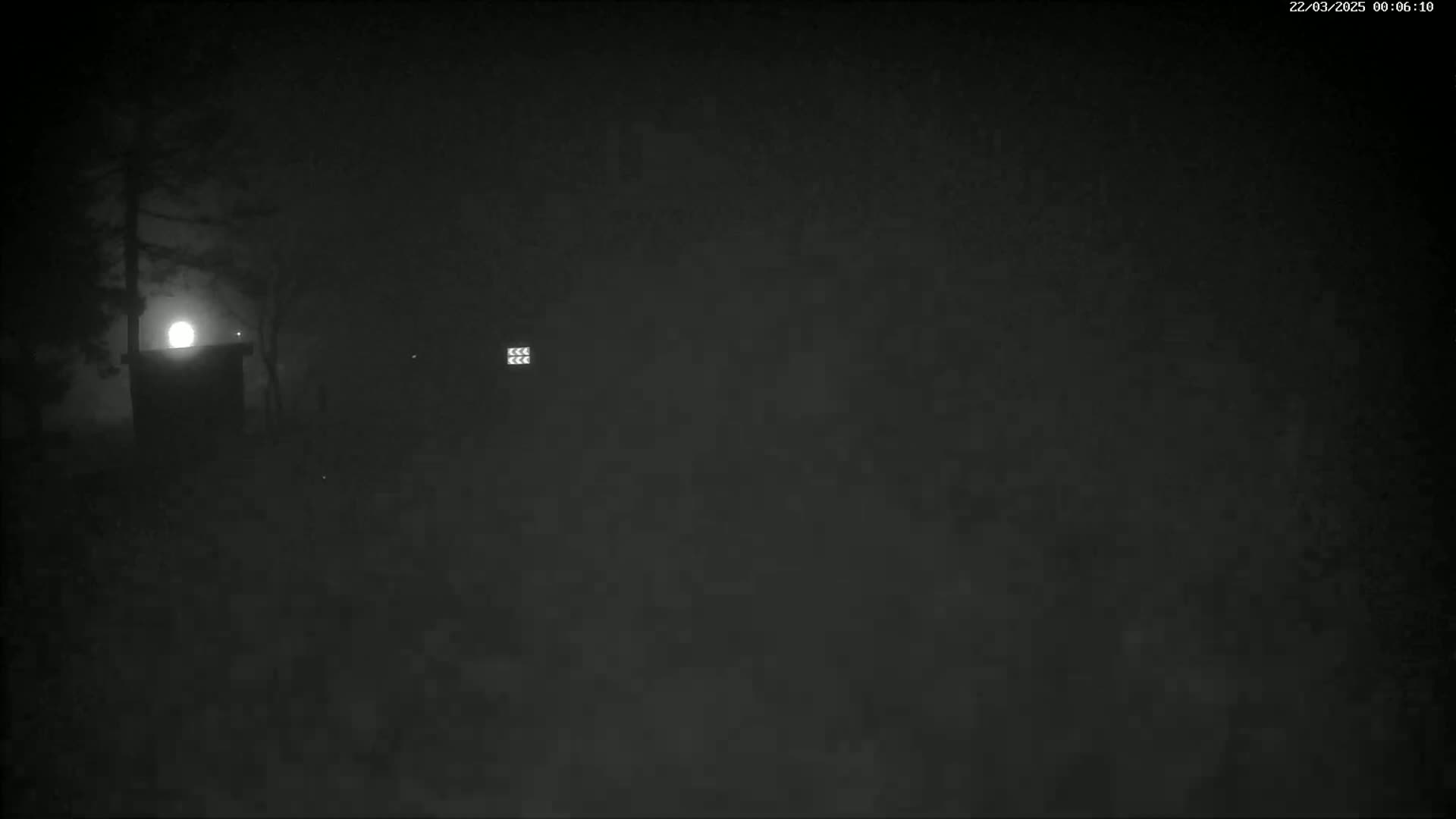 A dimly lit, foggy nighttime scene shows a small structure illuminated by a bright light source behind it, with trees silhouetted against the light.