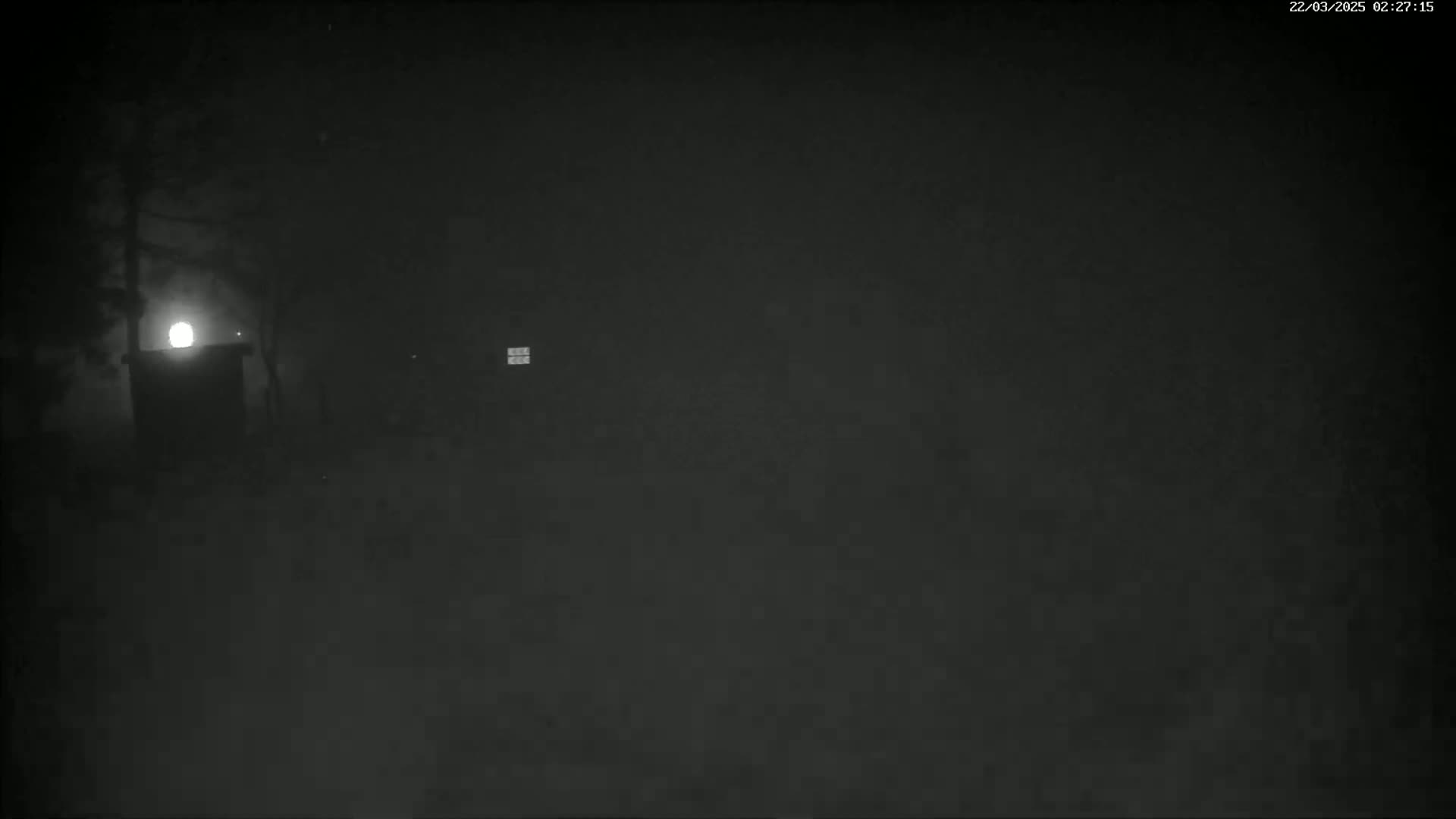 A dimly lit nighttime scene shows a small structure illuminated by a bright light source, partially obscured by trees and fog.