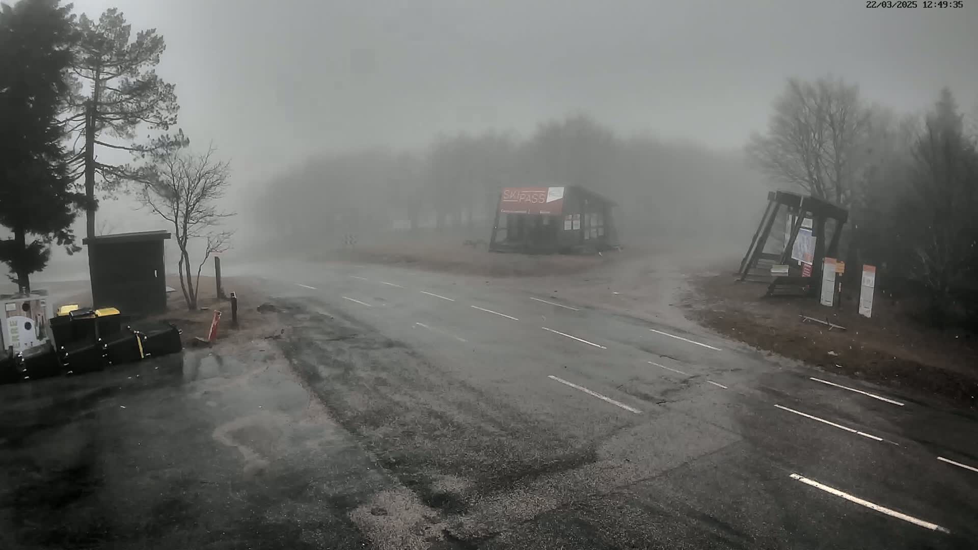 A wet, foggy road intersects near a small building and some trees, with several dark objects near the roadside.