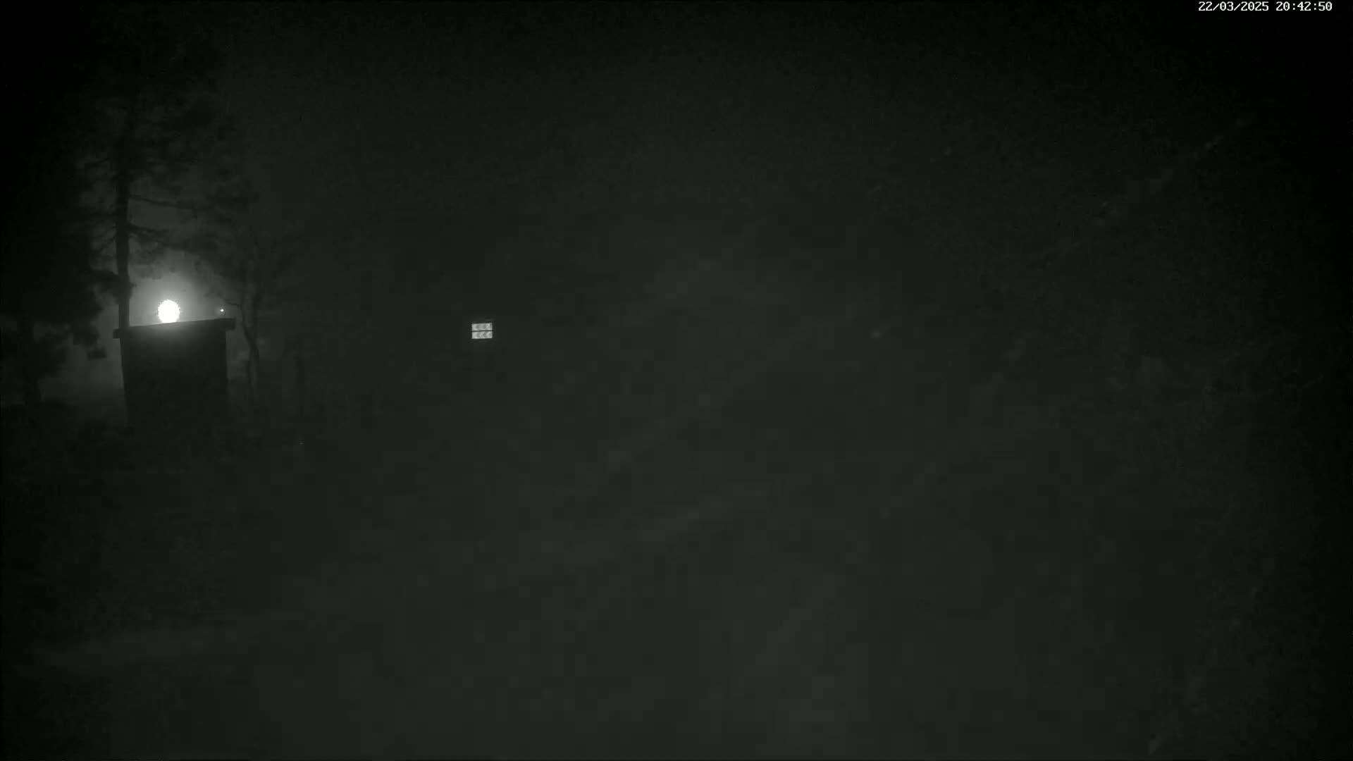 A moonlit night scene shows a dark building and trees under foggy conditions.