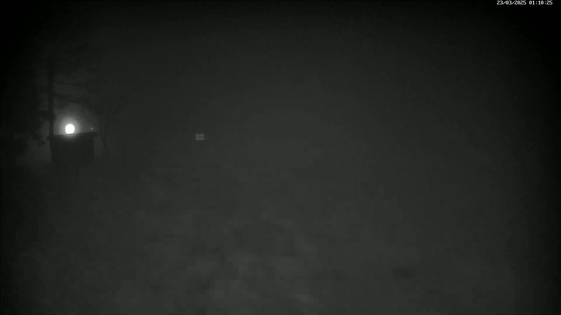 A dimly lit structure is partially visible through a dense fog at night.