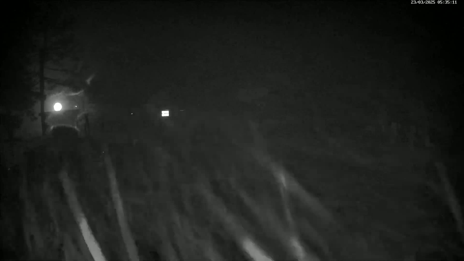 A nighttime outdoor scene shows a bright moon partially obscured by trees and a blurry, light-streaked foreground suggesting motion blur or blowing snow.
